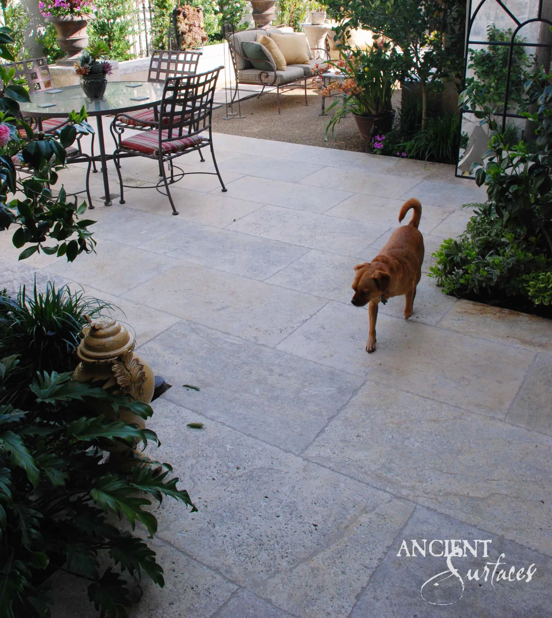 Antique limestone planks laid in a running bond across a living space